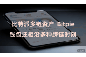 比特派多链资产 Bitpie钱包还相沿多种跨链时刻