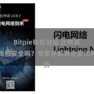 Bitpie钱包地址 比特派钱包安全吗？专家详解其全面优势