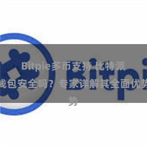 Bitpie多币支持 比特派钱包安全吗？专家详解其全面优势