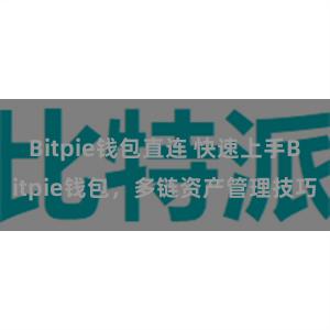 Bitpie钱包直连 快速上手Bitpie钱包，多链资产管理技巧