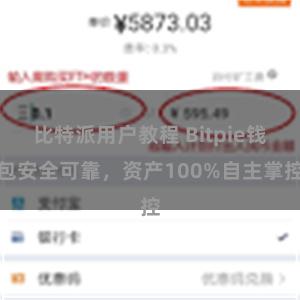 比特派用户教程 Bitpie钱包安全可靠，资产100%自主掌控