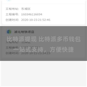 比特派提现 比特派多币钱包一站式支持，方便快捷