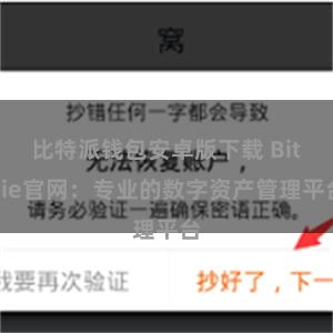 比特派钱包安卓版下载 Bitpie官网：专业的数字资产管理平台