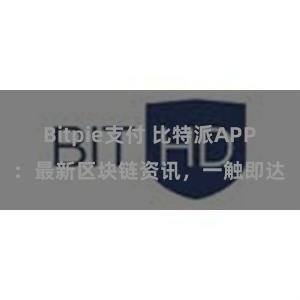 Bitpie支付 比特派APP：最新区块链资讯，一触即达